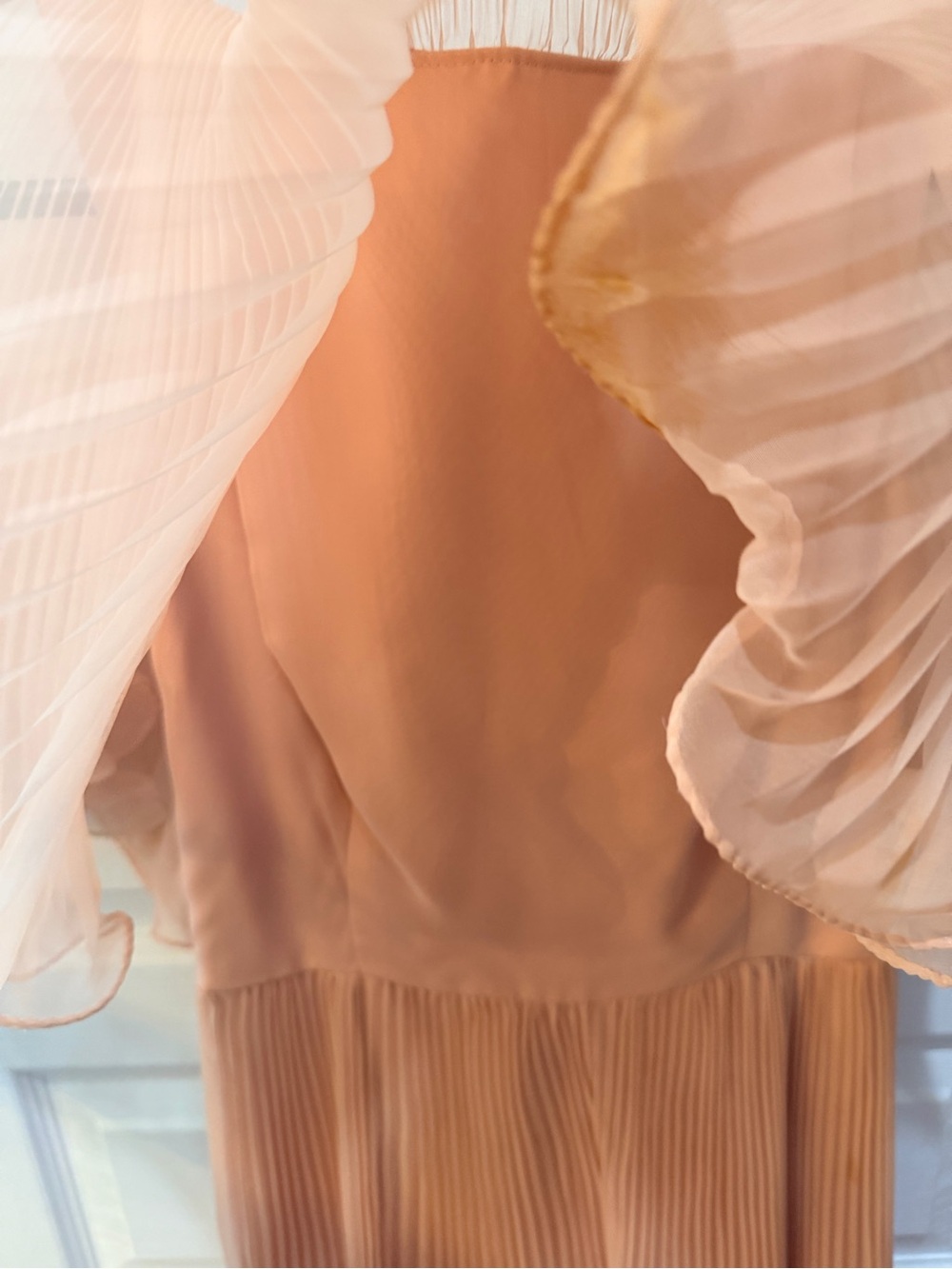 Vintage 1960โs Peach Pleated Chiffon Maxi Dress - Picture 4 of 13